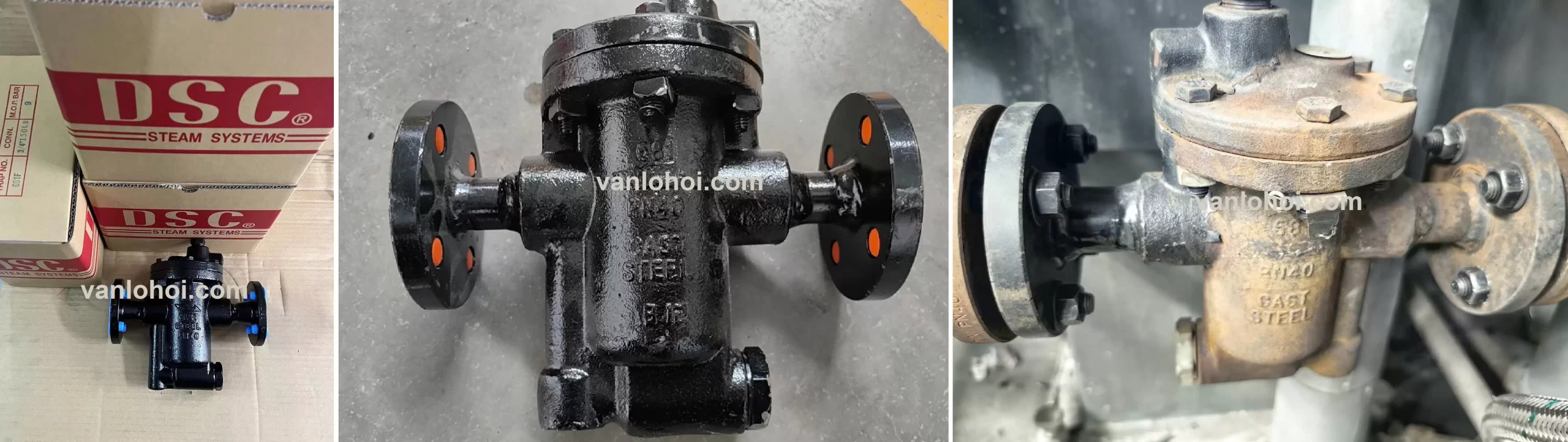 bẫy hơi DSC steam trap 681 682 683 Class 150 class 300 PN40